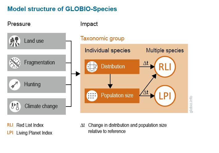 Schematic presentation of the GLOBIO-Species model