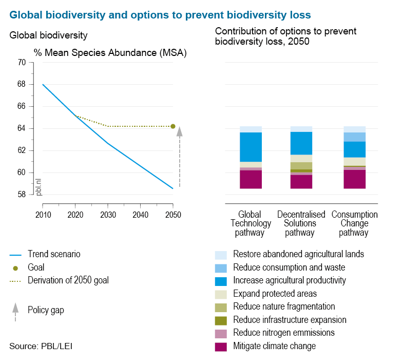 Two graph displaying change in global biodiversity and options to prevent loss under three different scenarios, from the GBO4 report