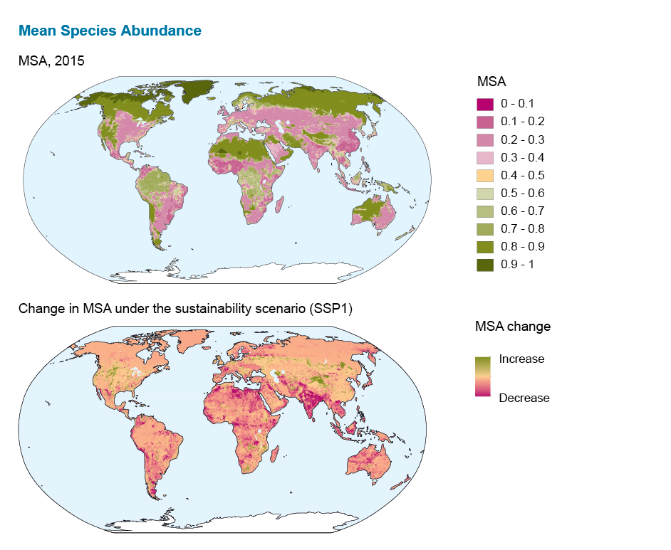 Global map showing MSA in 2015 and change in 2050 under the SSP1 scenario, from the Schipper etal 2020 publication