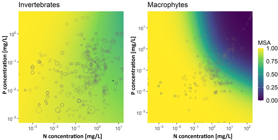 Spatially divergent impacts of global nutrient emission scenarios on freshwater community intactness